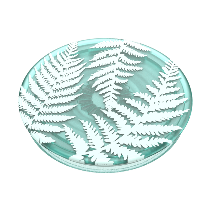 PlantCore Fern image number 2