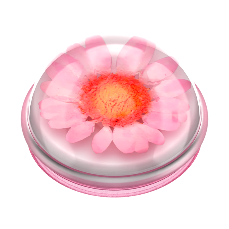 Pressed Flower Globe Pink Daisy image number 2