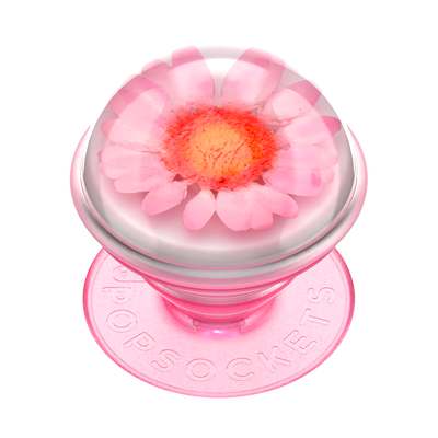 Pressed Flower Globe Pink Daisy