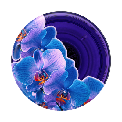 Secondary image for hover Translucent Dark Orchid — Adhesive PopGrip