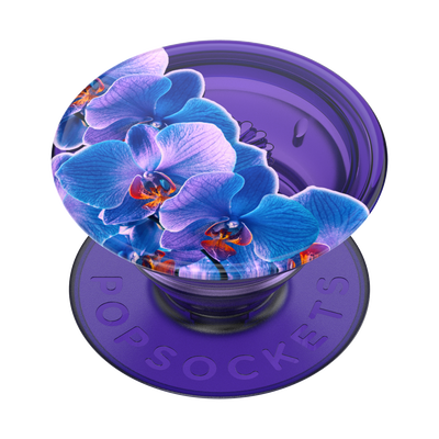 Translucent Dark Orchid — Adhesive PopGrip
