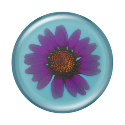 Pressed Flower Purple Daisy
