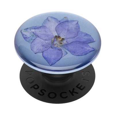 Secondary image for hover Pressed Flower Larkspur Purple