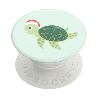 Secondary image for hover Santa Turtle