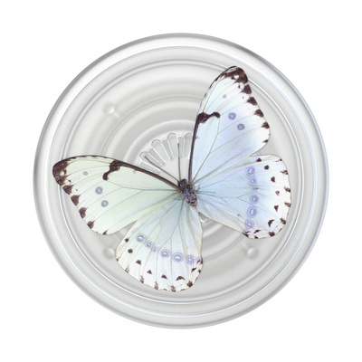 Secondary image for hover PlantCore Whisper Moth — Adhesive PopGrip